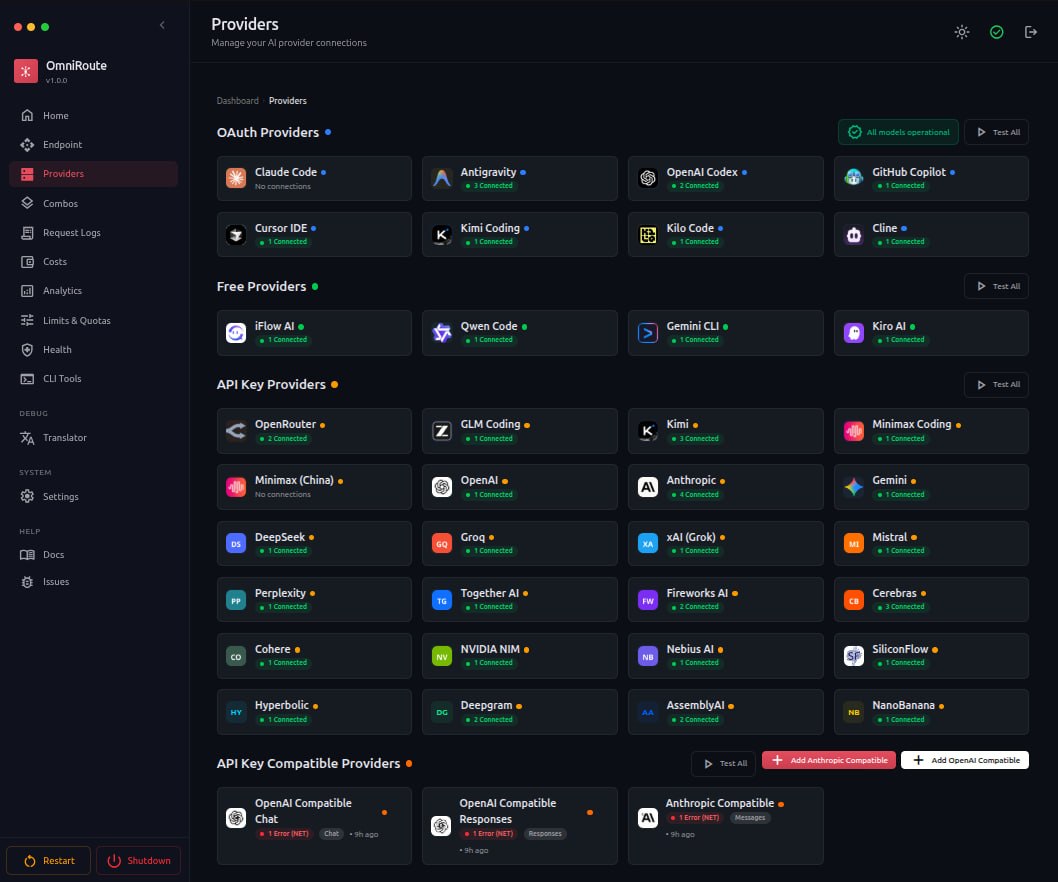Панель OmniRoute Providers со списком подключенных AI-провайдеров
